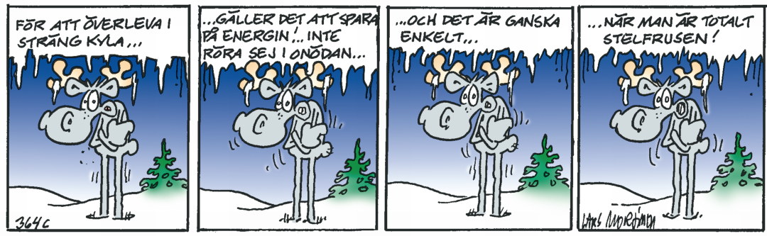 Hälge Stripp 2020-02-09