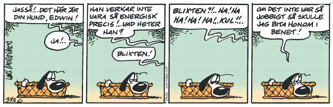 Hälge Stripp 2020-01-14