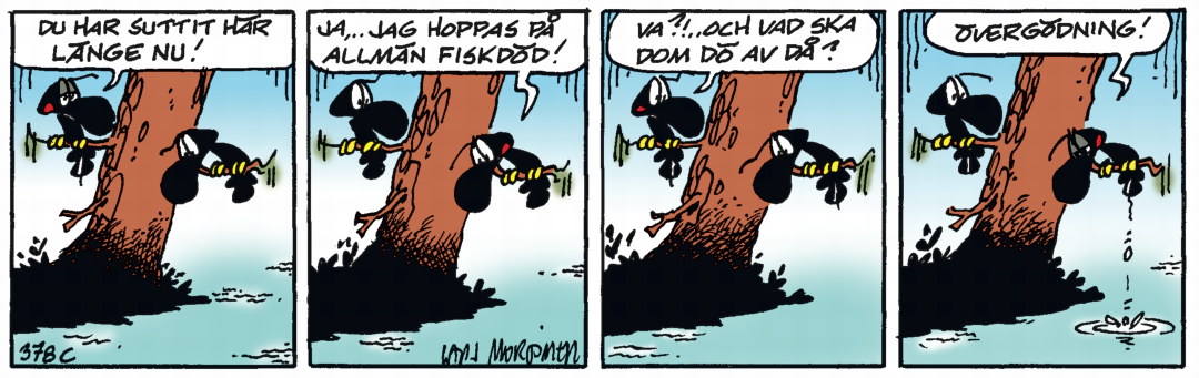 Hälge Stripp 2020-01-21