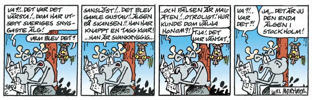Hälge Stripp 2020-01-16