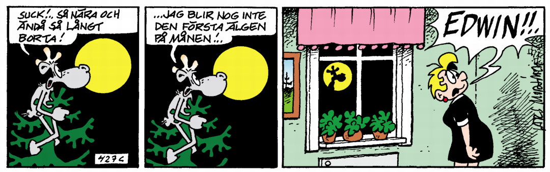 Hälge Stripp 2020-02-10