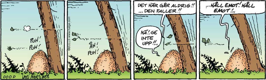Hälge Stripp 2020-05-11