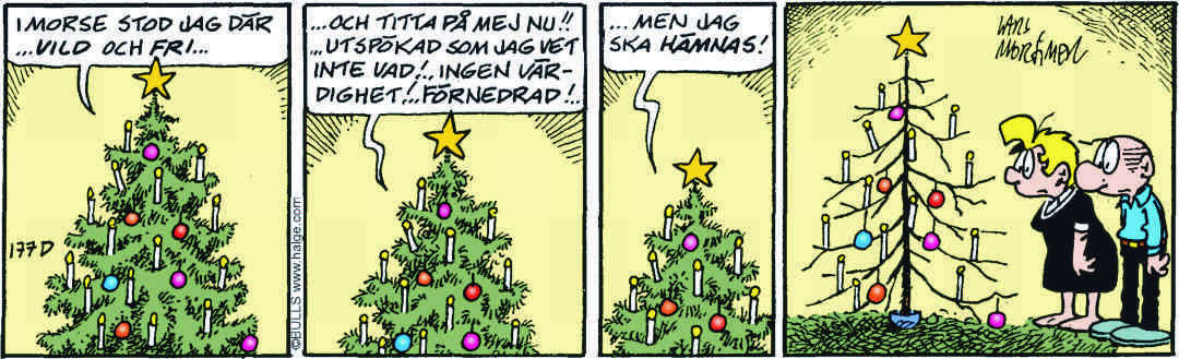 Hälgestripp 2025-12-25