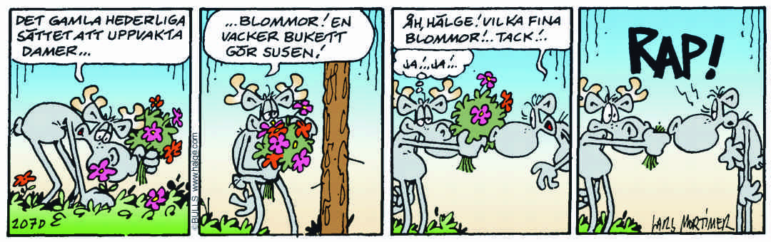 Hälgestripp 2024-09-03