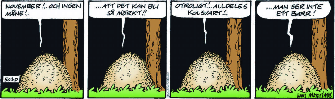 Hälge Stripp 2017-11-30
