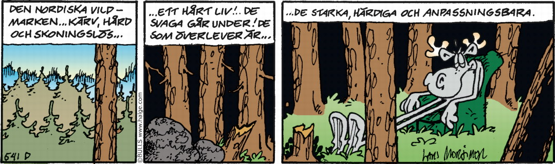 Dagens-stripp_Hge_D541