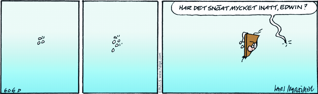 Hälgestripp 2022-02-22