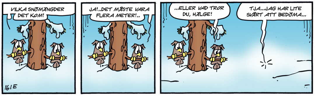 Hälgestripp 2022-02-04