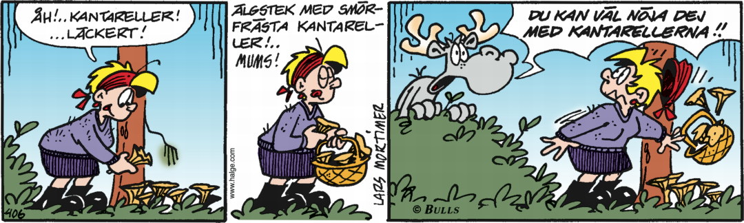 Dagens-stripp_Hge__406