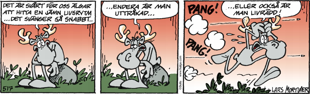 Hälgestripp 2024-09-26