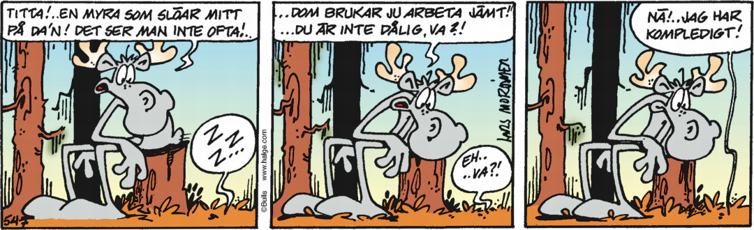 Hälge Stripp 2020-07-15