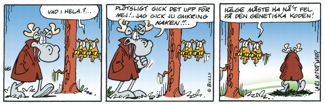 Hälgestripp 2025-02-03