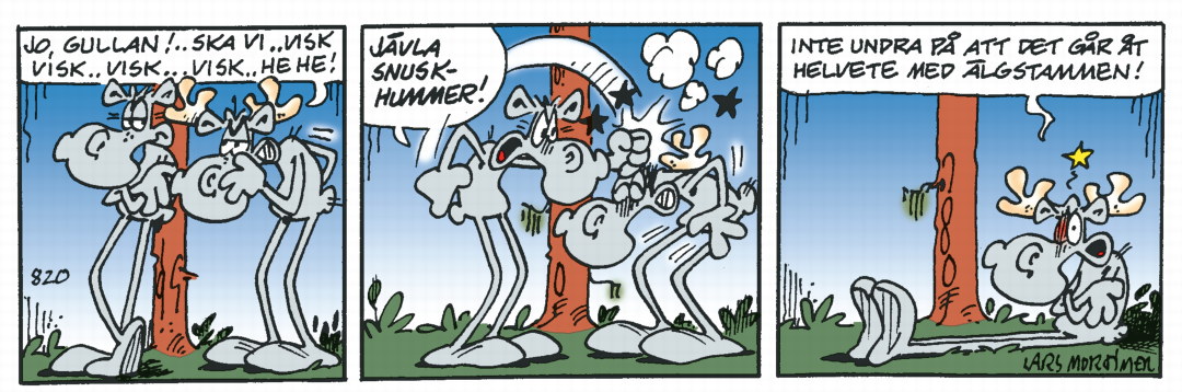 Hälgestripp 2026-06-13