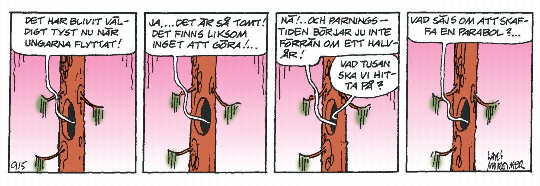 Hälge Stripp 2020-07-21