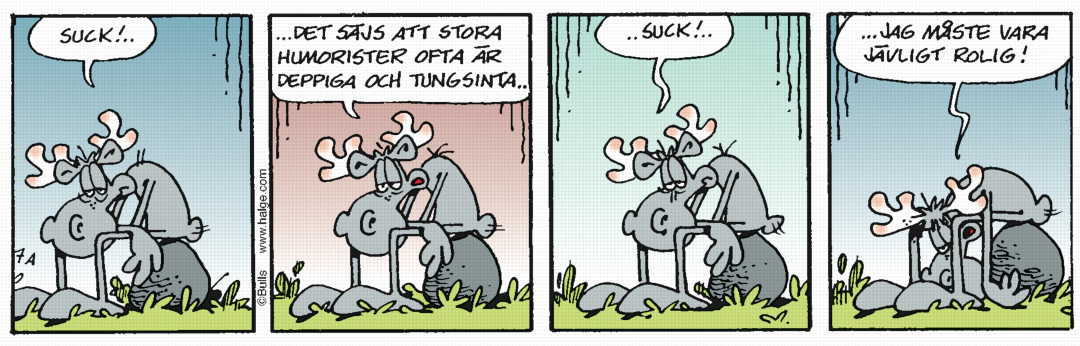 Hälgestripp 2024-08-16