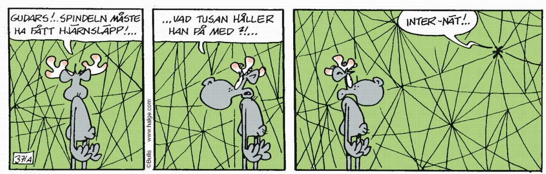 Hälge Stripp 2018-07-30