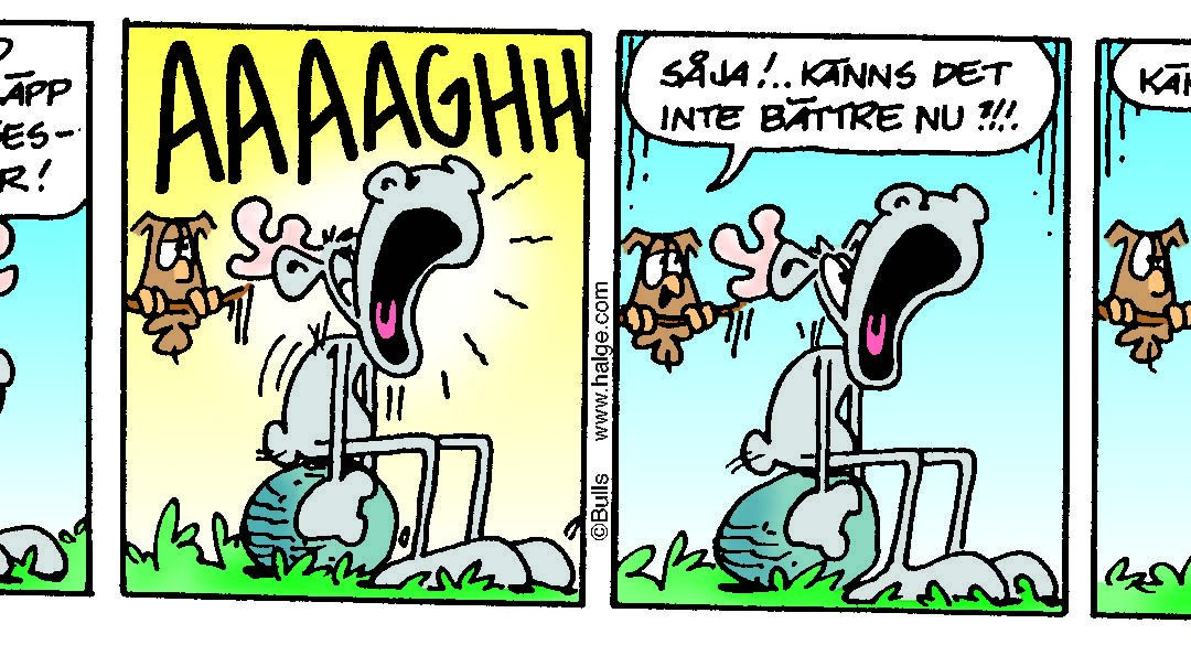 Hälgestripp 2026-02-01