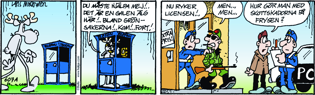 Hälgestripp 2026-02-11