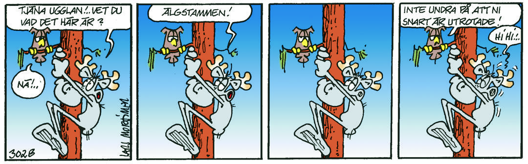 Hälge Stripp 2021-01-14